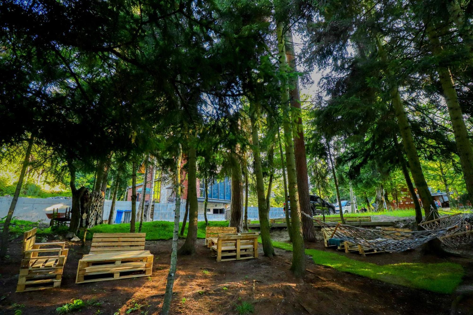 Hotel Evergreen بورجومي المظهر الخارجي الصورة